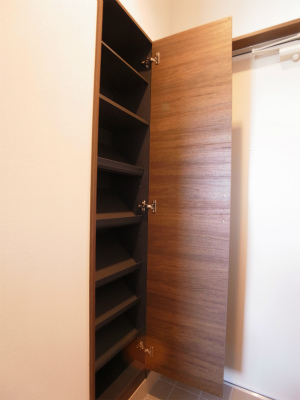 Entrance. Large capacity shoe box