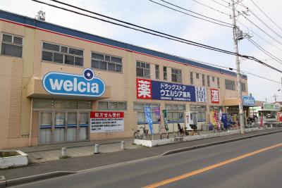Drug store. Werushia ・ Until Biggue 550m, 6 minutes