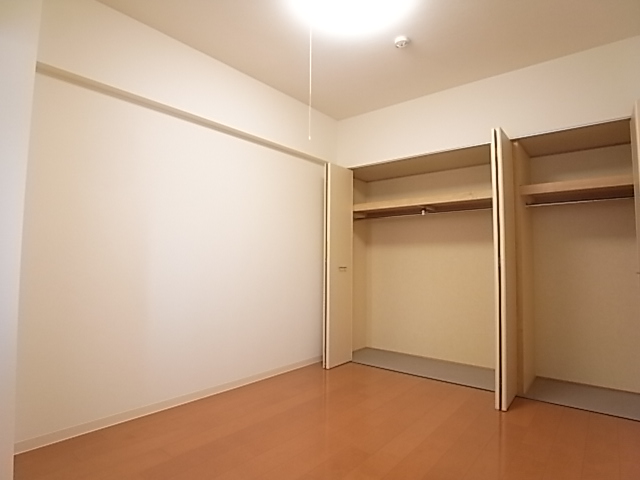 Other room space. One wall is storage and large capacity.