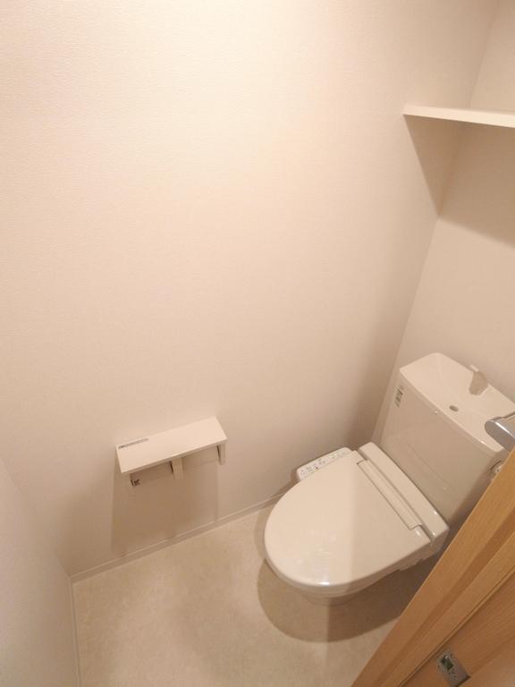 Toilet. But there is a shelf in toilet.