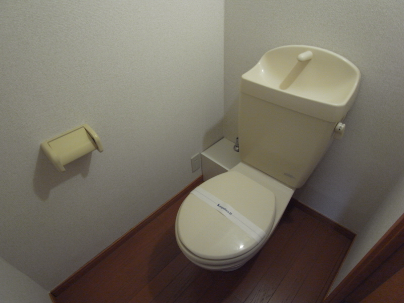 Toilet. Toilet to settle the flooring tone.