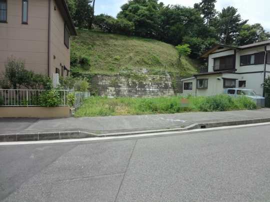 Local land photo. Local Photos