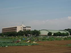 Primary school. Flanked to the south elementary school 650m