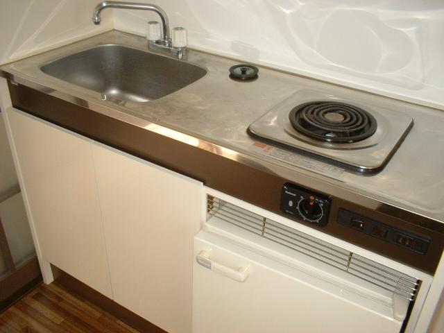 Kitchen. The kitchen is equipped with a mini fridge.