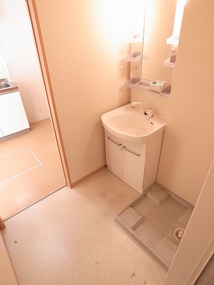 Washroom. Washbasin shower dresser. 