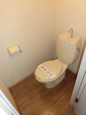 Toilet. Western-style toilet