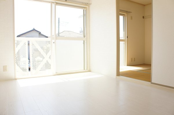 Living and room. Sunny