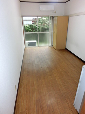 Living and room. Bright room