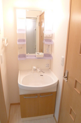 Washroom. Shampoo wash basin