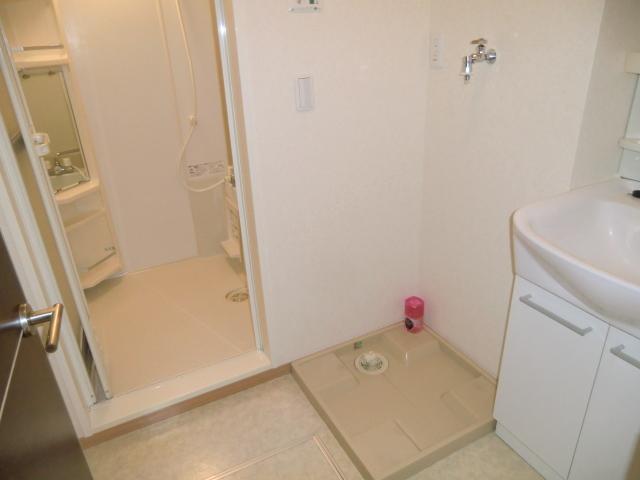 Washroom. It will comfortably take off in a spacious a dressing room