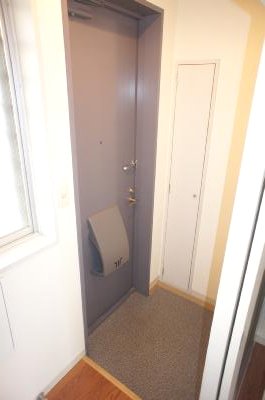 Entrance. It is plenty of spacious foyer storage!