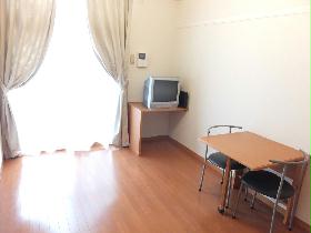 Living and room. Flooring