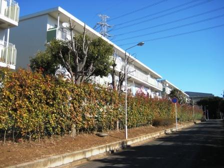 Funabashi, Chiba Prefecture Futawanishi 1