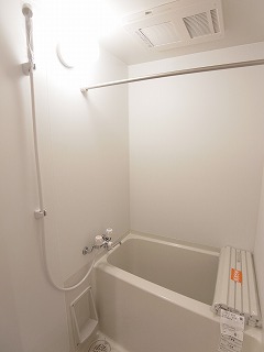 Bath. With bathroom dryer