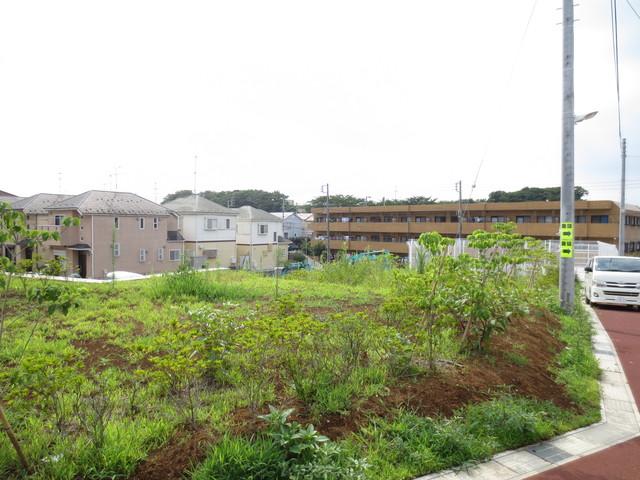 Local land photo. Local Photos