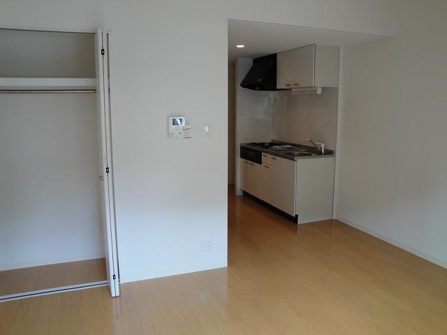 Living and room. Spacious living room There is also storage