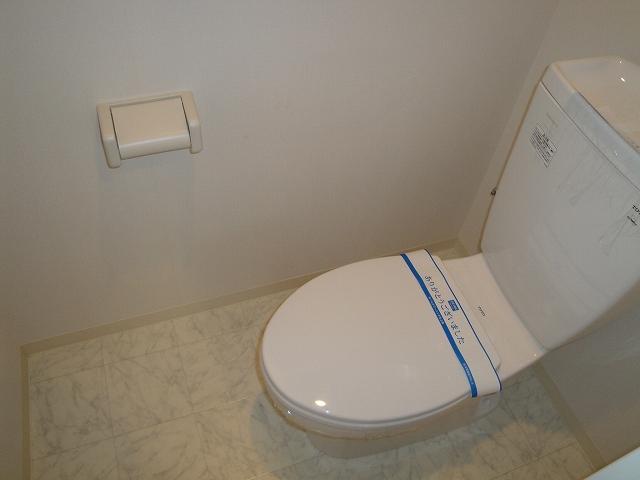 Toilet. It is a restroom with cleanliness