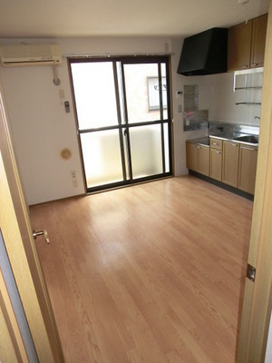 Living and room. Bright living