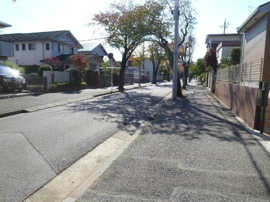 Local land photo. Facing the cherry trees Street with sidewalk
