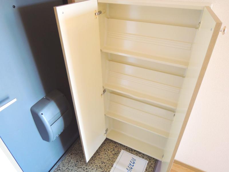 Entrance. The entrance is a shoe box equipped.