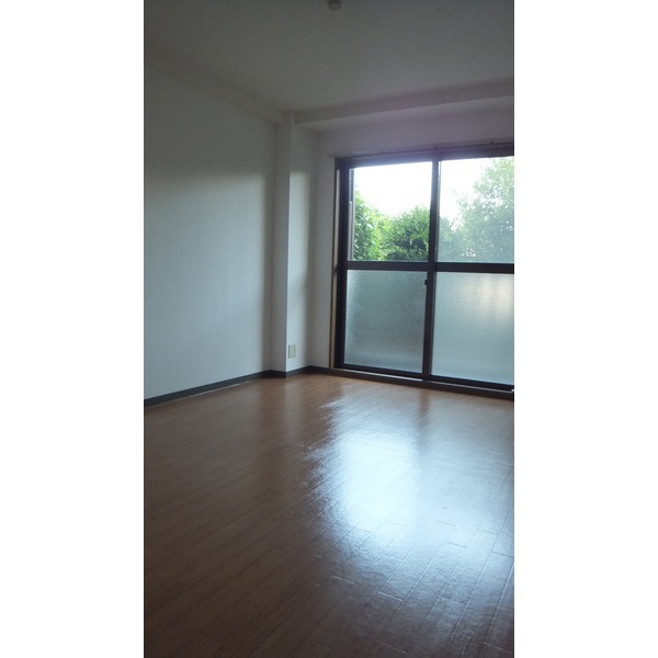 Living and room. 102