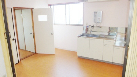 Living and room. There undressing space!