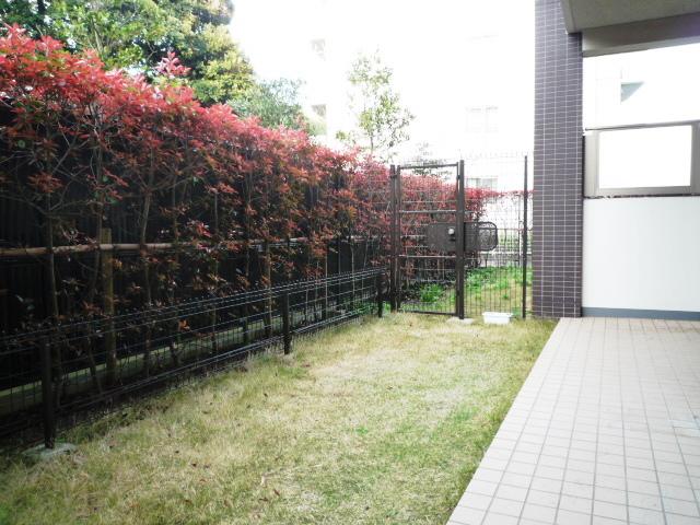 Garden. Local (August 2013) Shooting