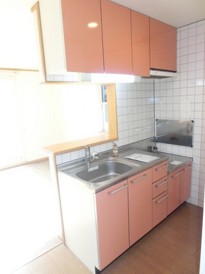 Kitchen. Popular face-to-face kitchen