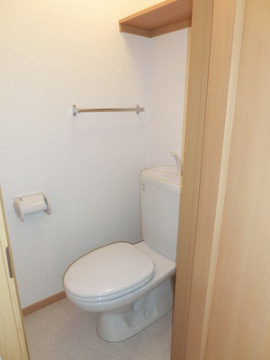 Toilet. Clean toilet with a shelf