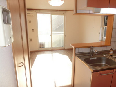 Living and room. Sunny living