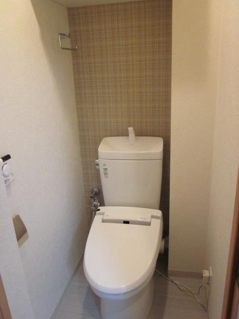 Toilet. Use the cute accent cross plaid