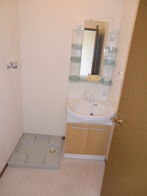 Washroom. Happy independence washbasin