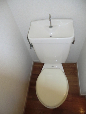 Toilet. Toilet room with cleanliness