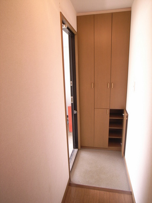 Entrance. It is a large storage in the front door! !