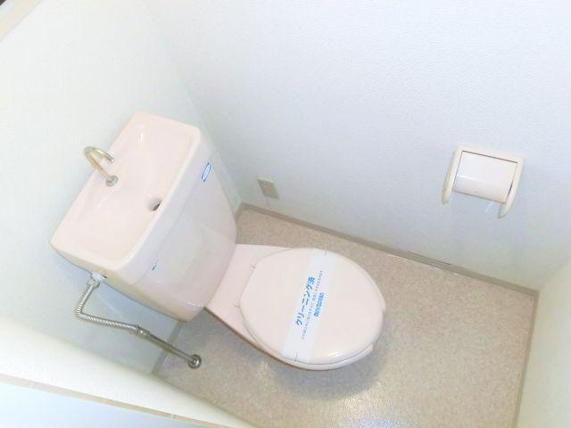 Toilet. Rest room with cleanliness