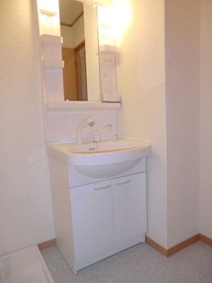 Washroom. There washbasin independent