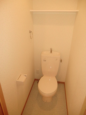 Toilet. It is a beautiful toilet