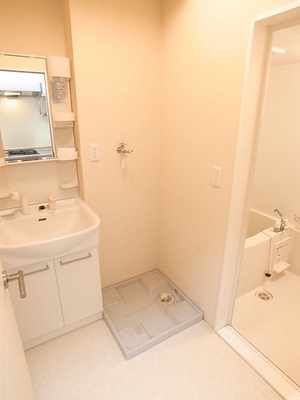 Washroom. Equipped also now mandatory shampoo dresser!