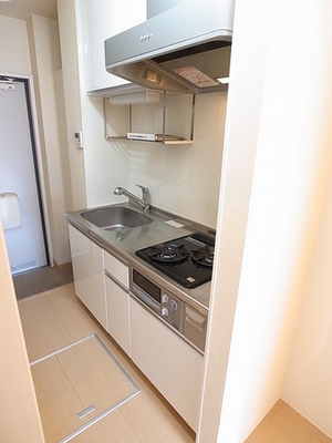 Kitchen. 2-neck system Kitchen! Of course, with grill!