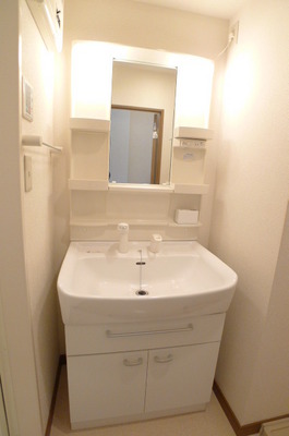 Washroom. Shampoo wash basin