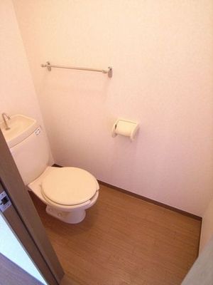 Toilet. It was clean your toilet