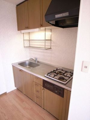 Kitchen. Large kitchen is also fun dishes