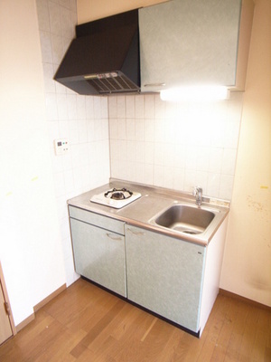 Kitchen. 1-neck with gas stove! !