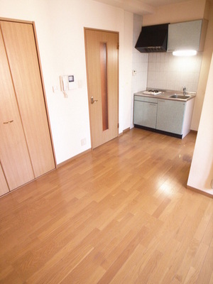 Living and room. Spacious 1R! Bright room!