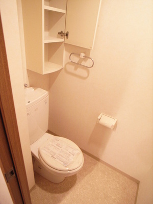 Toilet. Toilet is also beautiful to cleaning being completed!