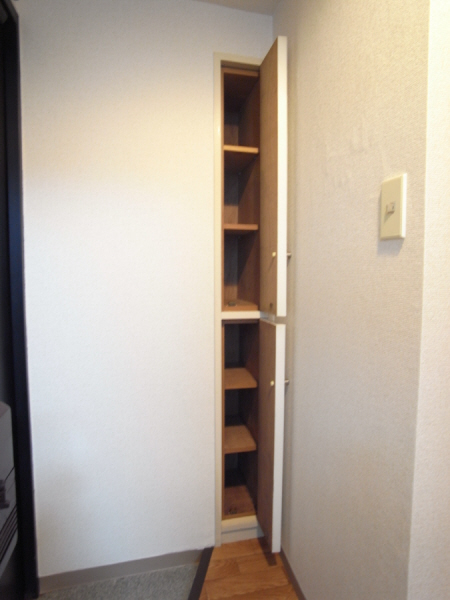 Entrance. It is smaller, but there is also a shoe box!