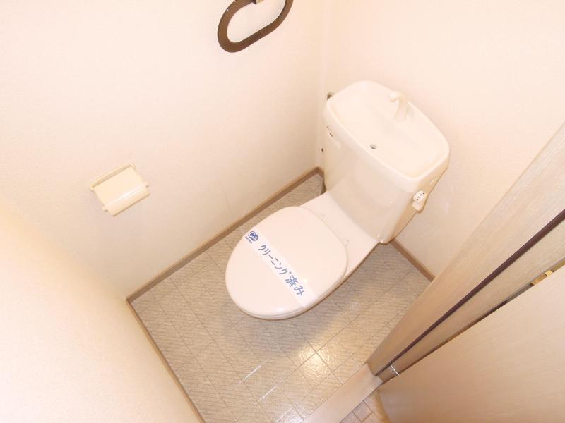 Toilet. Toilet clean space