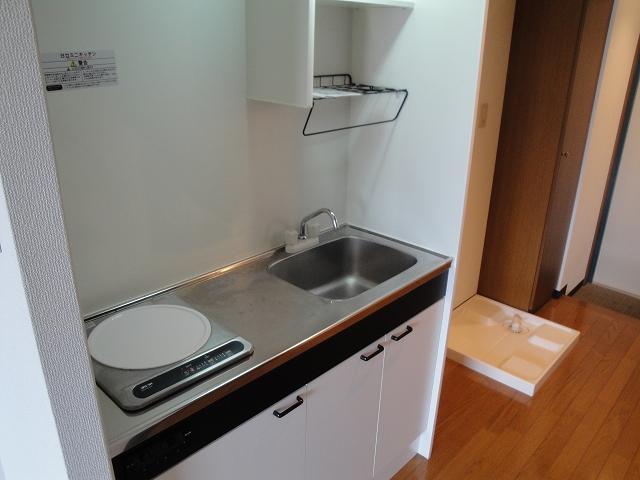 Other. It's IH heater is convenient