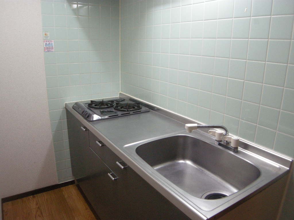 Kitchen. System kitchen (two-burner stove)