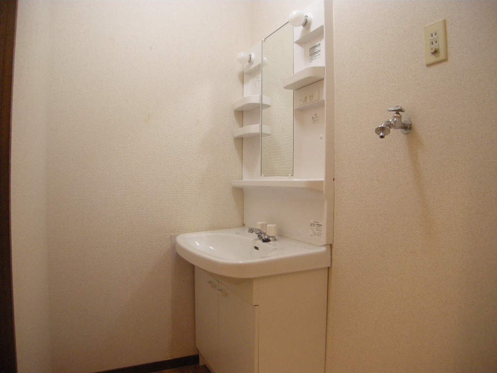 Washroom. Wash basin is with shower.